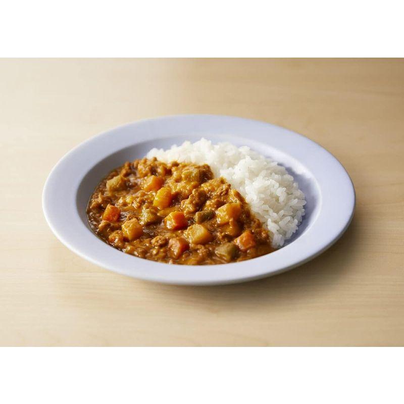 10個セットにしきや こどもお野菜キーマカレー 100g×10個 NISHIKIYA KITCHEN