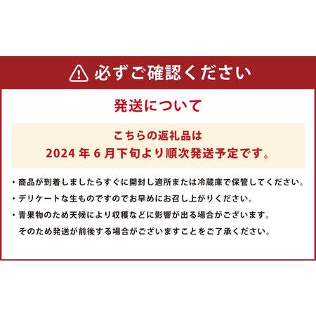 ふるさと納税 熊本産 パッションフルーツ 1kg前後 果物 フルーツ くだもの 美容 健康 栄養素 熊本県熊本市