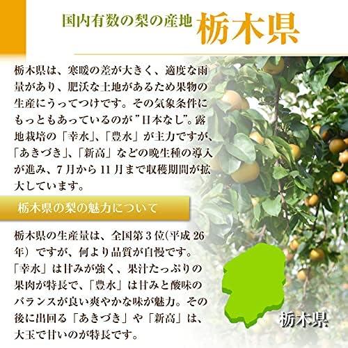 熨斗対応可能 にっこり梨 和梨 日本 栃木県産 大玉 栃木県産 約5kg 4-7玉 贈答 贈り物 プレゼント 高級フルーツ NHKうまい!で話題