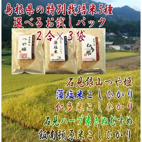 令和4年産島根米選べるお試しセット6種／　お米マイスターが選んだ島根県産こだわりの特別栽培米　メール便