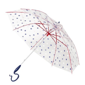 日本Caetla - Evereon可替換式環保輕量傘-星空-海軍藍