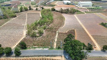 民雄正大路旁超大面寬休閒農地｜嘉義縣民雄鄉新庄段