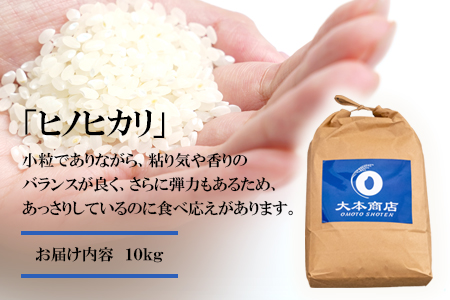 令和5年産 ヒノヒカリ 10kg 株式会社羽根《60日以内に順次出荷(土日祝除く)》熊本県産 白米 精米 ひのひかり 米