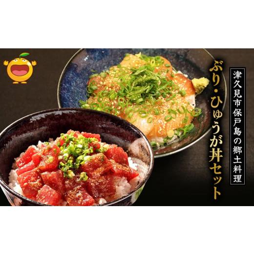 ふるさと納税 大分県 津久見市 ぶり・ひゅうが丼セットぶりのりゅきゅう100g×4P・マグロ(ひゅうが丼)120g×4P 鮪丼 まぐろ 大分県産 九州産 津久見市 熨斗対…