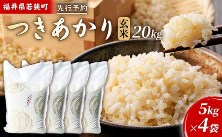 令和5年産福井県若狭町つきあかり（一等米）玄米　20kg（神谷農園） 5kg×4袋