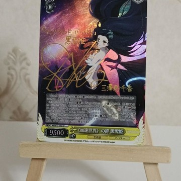 【動漫周邊】免運 非官方 加速世界 黑雪姬 精品金籤閃卡
折光彩閃工藝
86*59MM尺寸