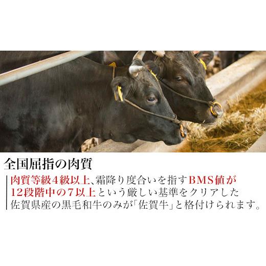 ふるさと納税 佐賀県 唐津市 佐賀牛切り落とし 500g (佐賀牛ウデ モモ バラ肉のいずれか) すき焼き しゃぶしゃぶ ギフト 「2023年 令和5年」