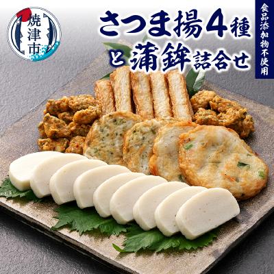 ふるさと納税 焼津市 無添加 練り物 蒲鉾 ・ さつま揚 詰合せ セット(a18-038)