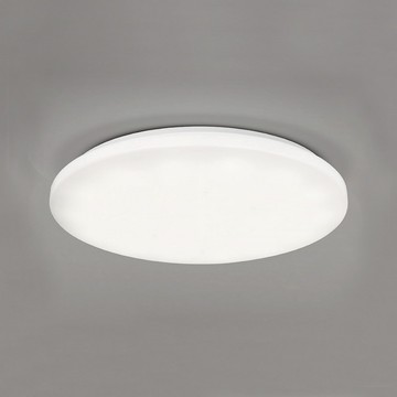 48W 單色吸頂燈 L01-2433B