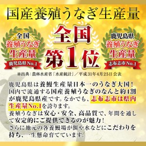 うなぎの大楠＜中＞4尾セット計520g(130g×4) b5-171