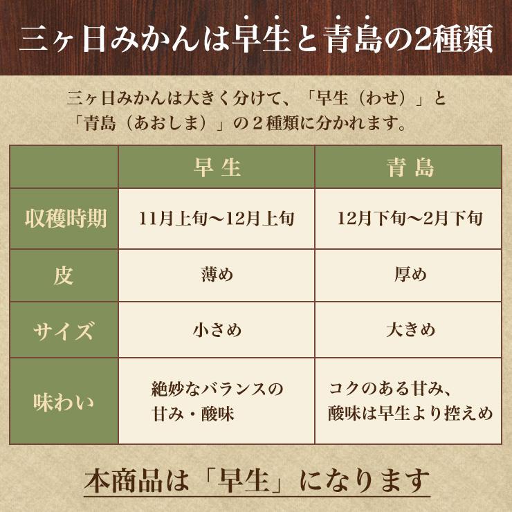  三ヶ日 早生 みかん 10kg どうまいらぁ！ みかん 送料無料 S 〜 3L サイズ不揃い 三ヶ日みかん 訳ありみかん 産地直送