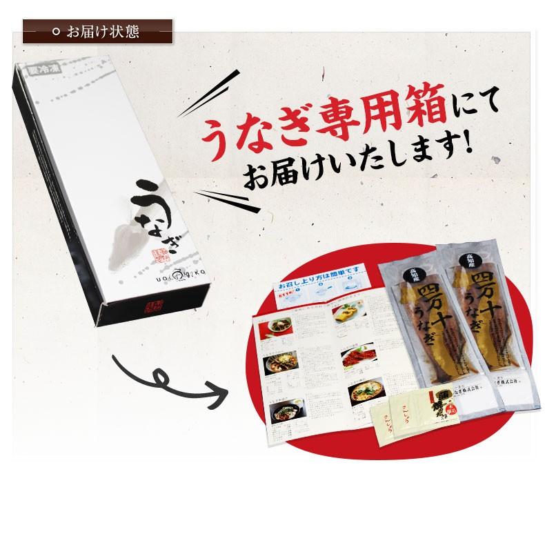 うなぎ 国産 最高級 四万十うなぎ 蒲焼き 長焼き 2尾セット プレゼント お歳暮 2023 ギフト  お取り寄せグルメ 鰻