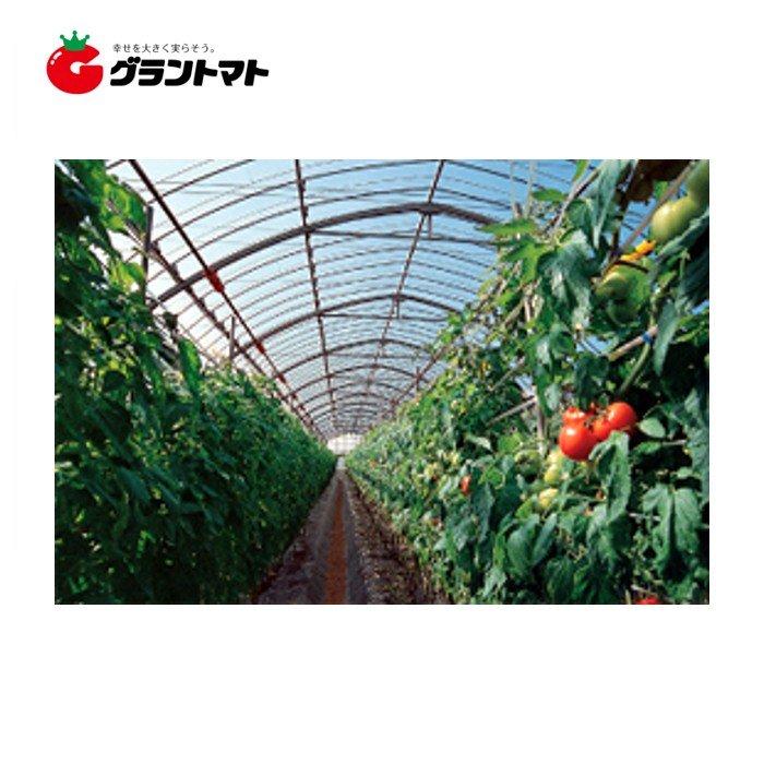 晴天 屋根用　0.15mm×600cm（中接） 切り売り1m ノンキリーあすか アキレス農ビ 