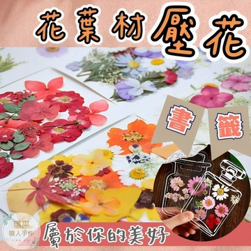 【璟采職人】DIY 乾燥花書籤 壓花書籤 押花 乾燥花材料包 天然壓花 真花植物 自製書籤 乾花壓花 乾燥花 浮游花