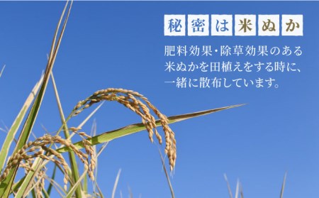 特別栽培米 令和5年産 新米 玄米 さがびより 4kg特A米 特A評価[HCA009]