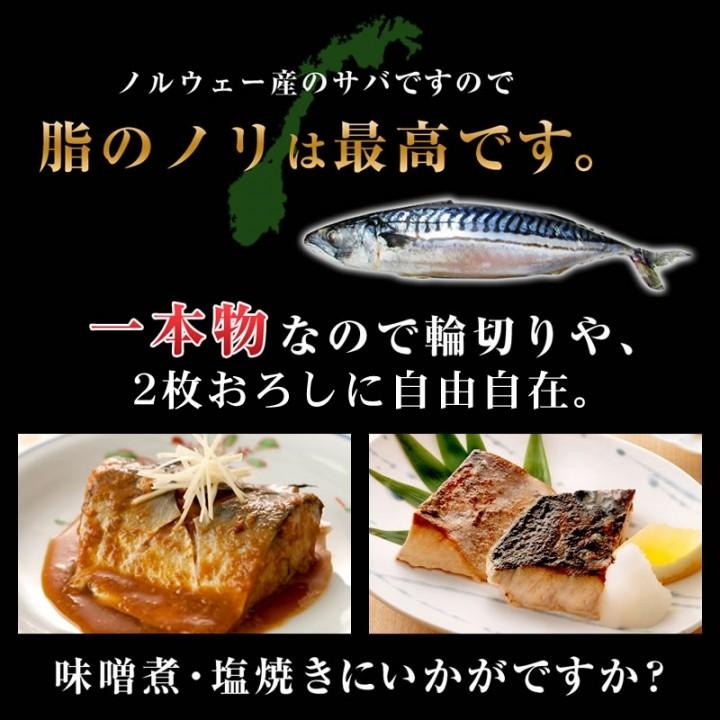 無塩 サバ一本物 5尾（ノルウェー産）冷凍