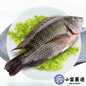 【小富嚴選】台灣鯛魚 吳三去郭魚整尾 三去台灣吳郭魚 台灣鯛 (10kg/約20尾) 去鱗去鰓去內臟 吳郭魚料理 台灣鹹水魚