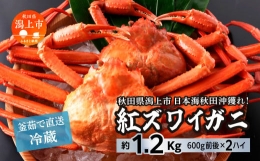 日本海沖産 紅ズワイガニ600g前後×2匹 約1.2kg 冷蔵