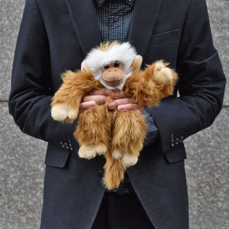 さるぬいぐるみ Jellycat ジェリーキャット】 Bashful Monkey Sサイズ モンキー