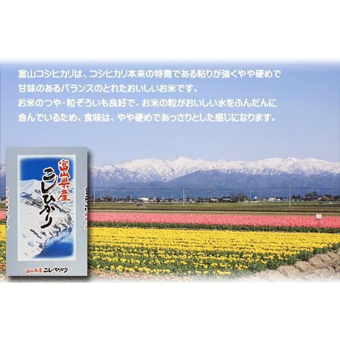 新米 コシヒカリ 令和5年産 富山県産 白米 5kg