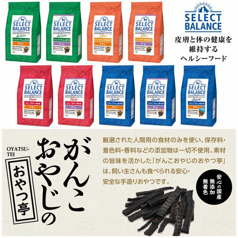 激安通販の セレクトバランス パピー 幼犬用 ラム 3kg