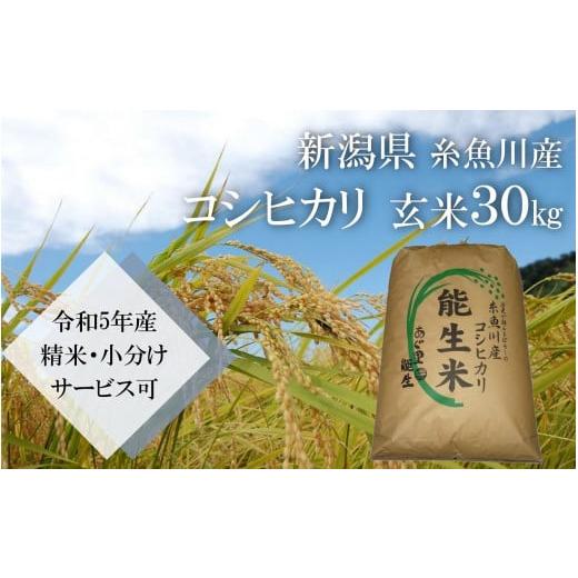 ふるさと納税 新潟県 糸魚川市 新潟県糸魚川産コシヒカリ 玄米30kg 農家直送（精米サービス可能） 令和5年産