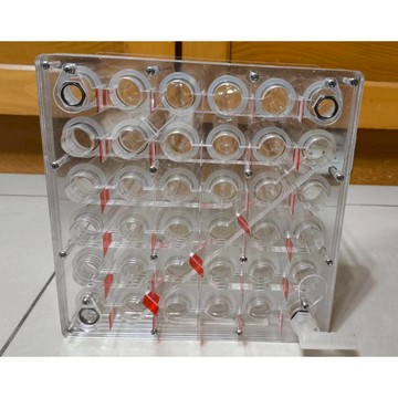 全新蟻巢 6*3 18根及6*6 36根20mm試管大樓巢 3620試管巢(含試管且組裝完成出貨) 石膏巢 巨山蟻