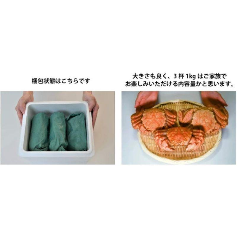 北海道産 毛ガニ三昧(冷凍) 1ｋｇ 最高ランク 蟹味噌