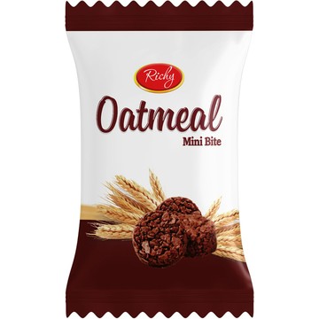 / 追劇嘴饞必備零食 / RICHY瑞奇 巧克力迷你一口燕麥酥850G