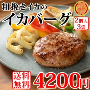 敬老の日 ギフト 送料無料 イカ の ハンバーグ イカバーグ 2個入×3袋 セット イカメンチ イカハンバーグ シーフードハンバーグ お取り寄