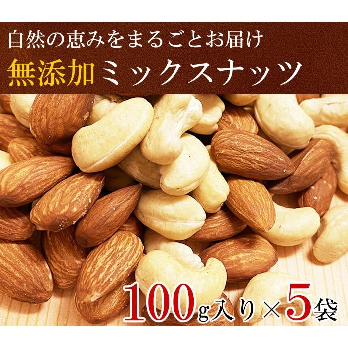 ミックスナッツ 厳選2種類（素焼きアーモンド＆素焼きカシューナッツ） 100g×5袋 まとめ買いセット