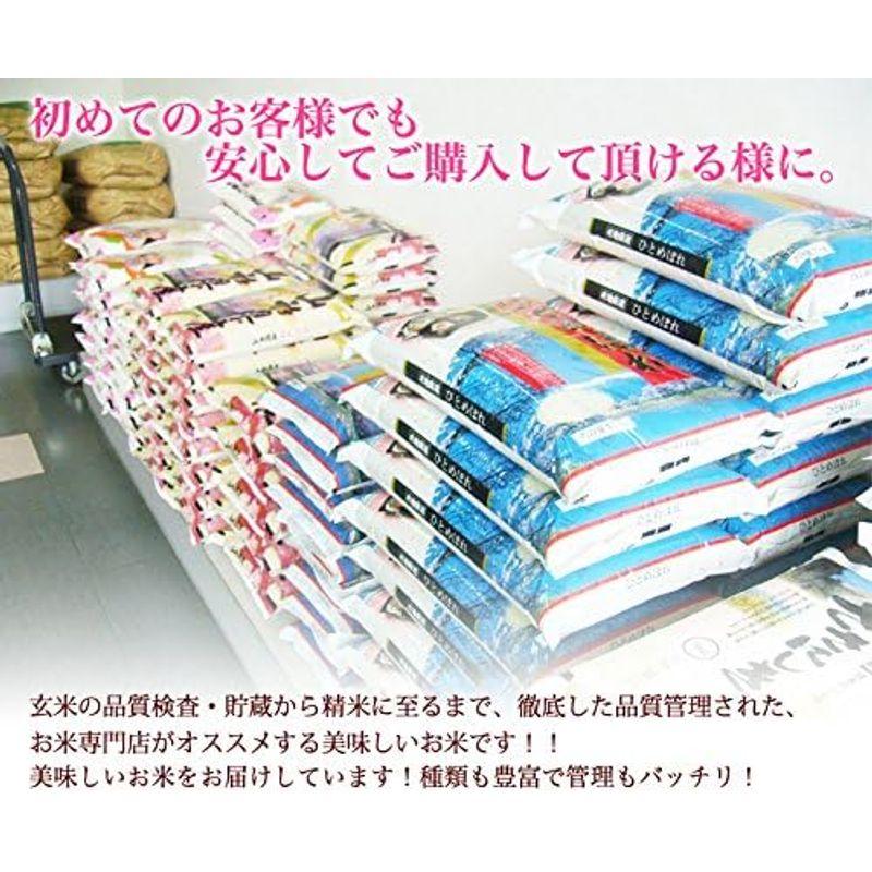 新米 精米山形県産 白米 こしひかり ３０kg(5kg×6袋) 令和4年産