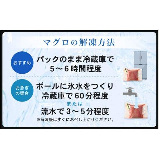 ふるさと納税 福井県 越前町 [e04-a088]  お刺身 セット サーモン 100g × 2P ＆ 本まぐろ 赤身 100g × 1P 【福井県 冷凍 小分け 刺身 アトランティックサー…