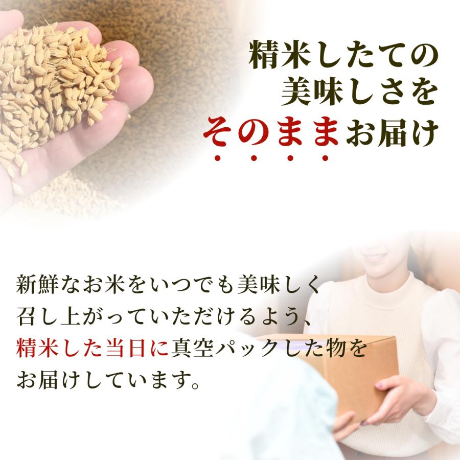 お米（長野県産 コシヒカリ無洗米）300g（約2合）4袋セット＆レンジでご飯メーカー 1合炊き スノコ付き