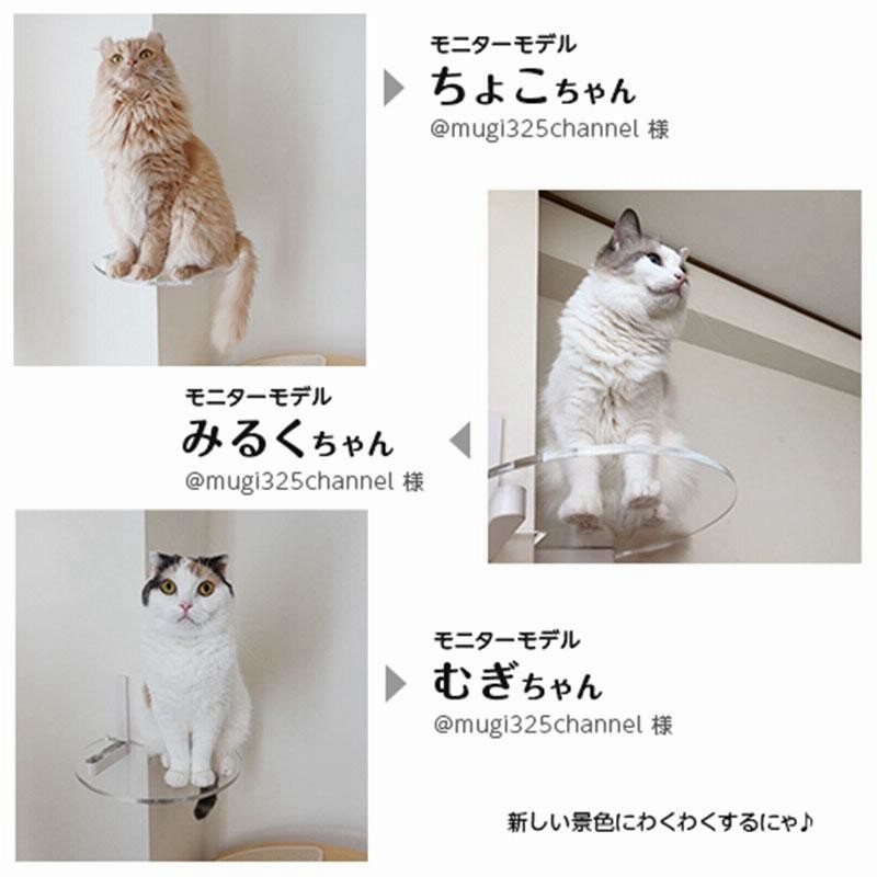 キャットタワー キャットウォーク キャットステップ animacolle キャットタワー キャットウォーク キャットステップ animacolle