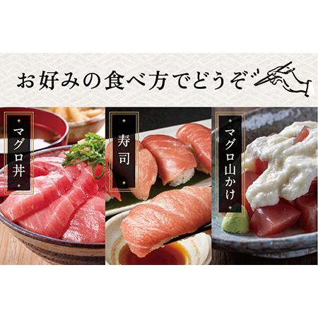 ふるさと納税 絶品！生本マグロ 赤身 250g（柵どり） 福井県越前市