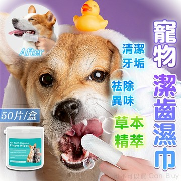 【現貨免運】寵物潔牙濕紙巾 寵物濕紙巾 貓咪潔牙 寵物潔牙 寵物牙齒清潔 刷牙 牙刷 指套濕巾 潔牙濕巾 貓用品 狗
