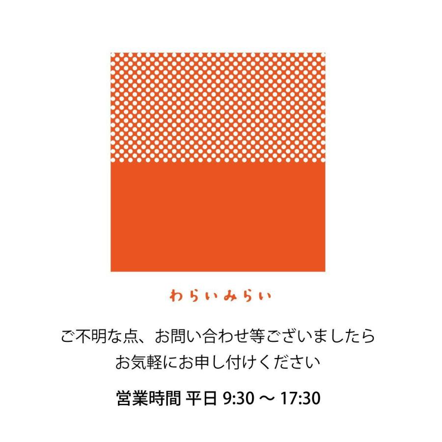 干し柿 市田柿 産地直送 送料無料 500g お年賀 お歳暮 ギフト 干柿 いちだ柿 いちだかき