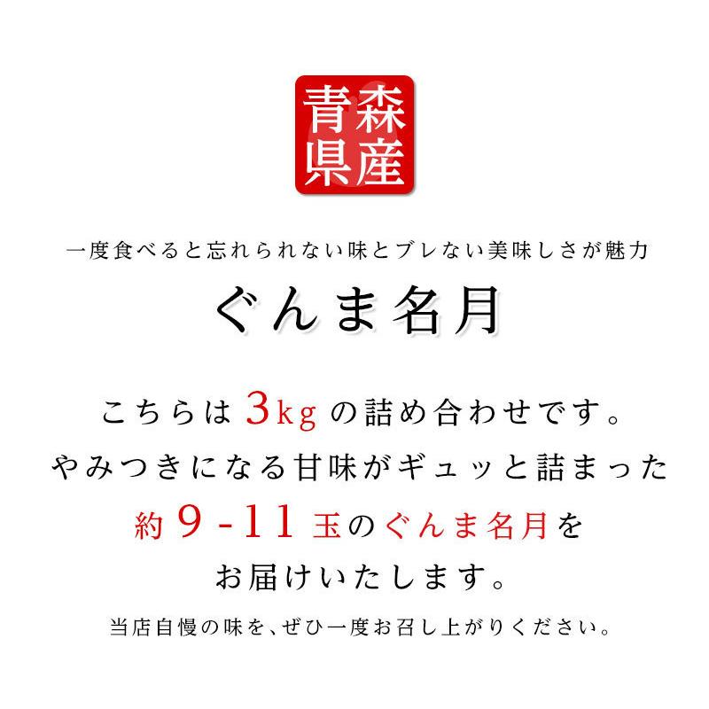 送料無料 青森県産 りんご ぐんま名月 9-11玉 約3kg りんご ぐんま名月 3kg りんご 青森 りんご 3kg 送料無料 群馬名月 ギフト 贈答 フルーツギフト