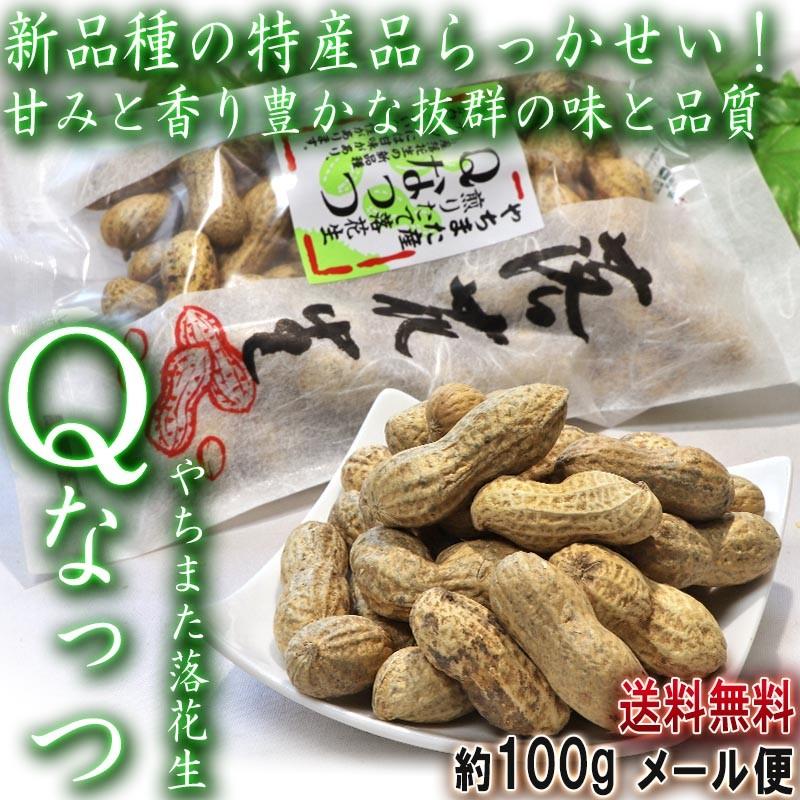 Qなっつ やちまた落花生 100g×2袋 千葉県・八街市産 見た目と味わい共に優れた新品種らっかせい！