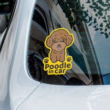 Poodle in car 貴婦狗 貴賓犬汽車貼