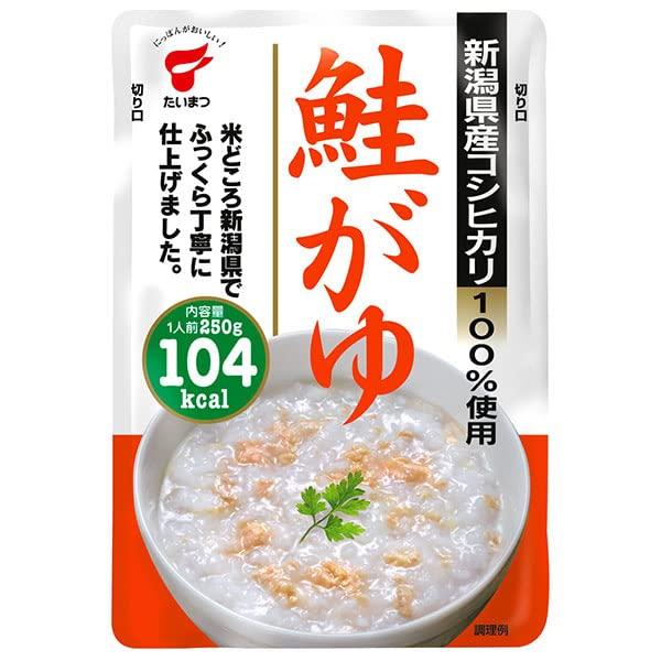 たいまつ食品 鮭がゆ 250g×10袋入×(2ケース)