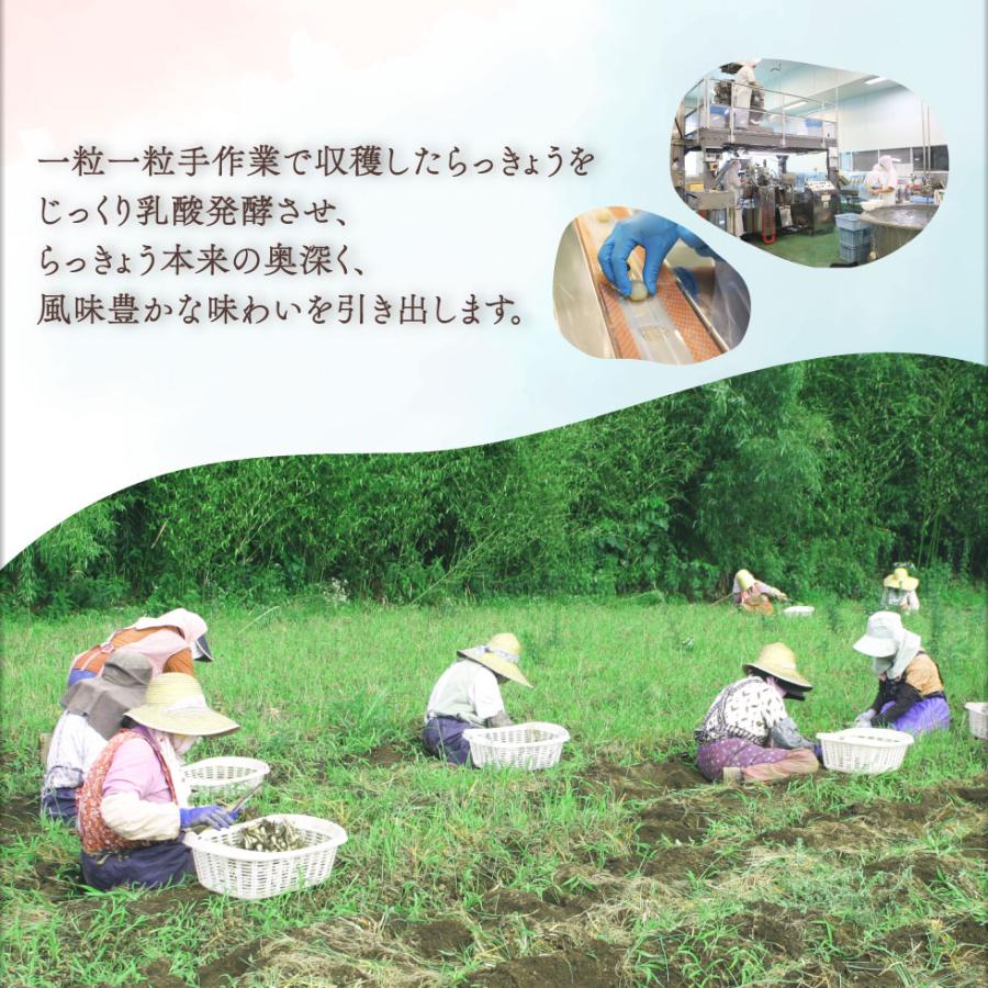 らっきょう (P2倍) 個包装 おつまみ 国産 五月の宝石 80g×2袋 甘酢 黒みつ セット 九州産 宮崎県産 鹿児島県産 ） 高級 ラッキョウ 乳酸発酵 送料無料