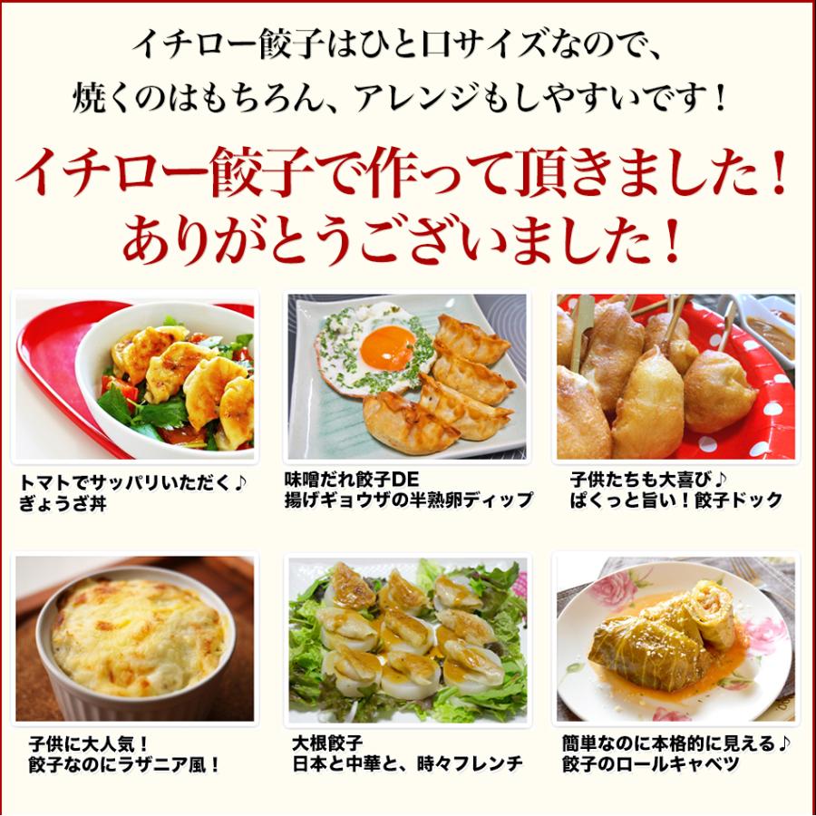 味噌だれ 餃子 50個 800g 冷凍 神戸餃子 イチロー餃子 ギョウザ ギョーザ ご当地餃子  味噌だれ餃子50個  お歳暮 ギフト