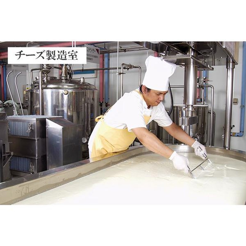 北海道 富良野チーズ工房 ホワイトチーズ 20個 国産 | LINEショッピング