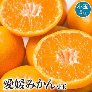 愛媛みかん 小玉 5kg 2S～Sサイズ混合 訳あり愛媛県宇和島産