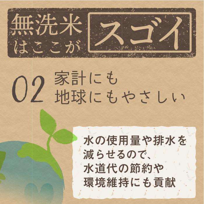 無洗米 新潟県産 コシヒカリ 特別栽培米 5kg 令和5年産 新米 こしひかり 5キロ 農家直送 減農薬