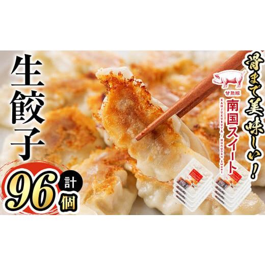 ふるさと納税 鹿児島県 志布志市 p8-105 甘熟豚南国スイート生餃子(96個)