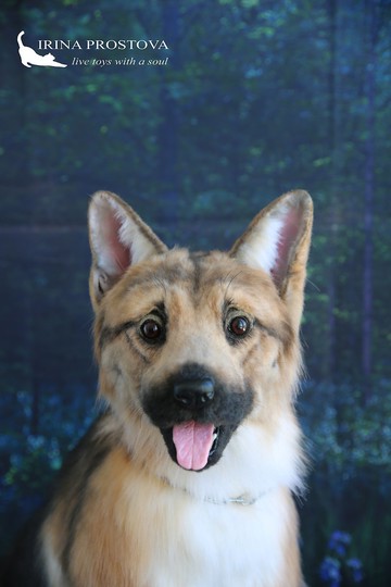 德國牧羊犬逼真的毛絨玩具。橡木娃娃。藝術娃娃動物