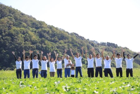 すっごいもちもち「しきゆたか」白米定期便　１２カ月で５㎏を６回お届け（2カ月に1回）